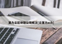 算力云区块链公司概况[云算力xch]